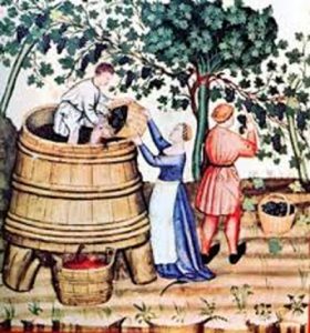 Vendemmia nel Medioevo