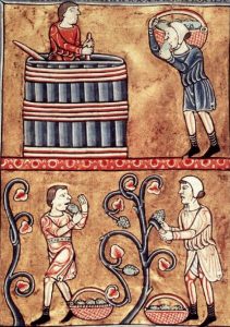 Vendemmia nel Medioevo